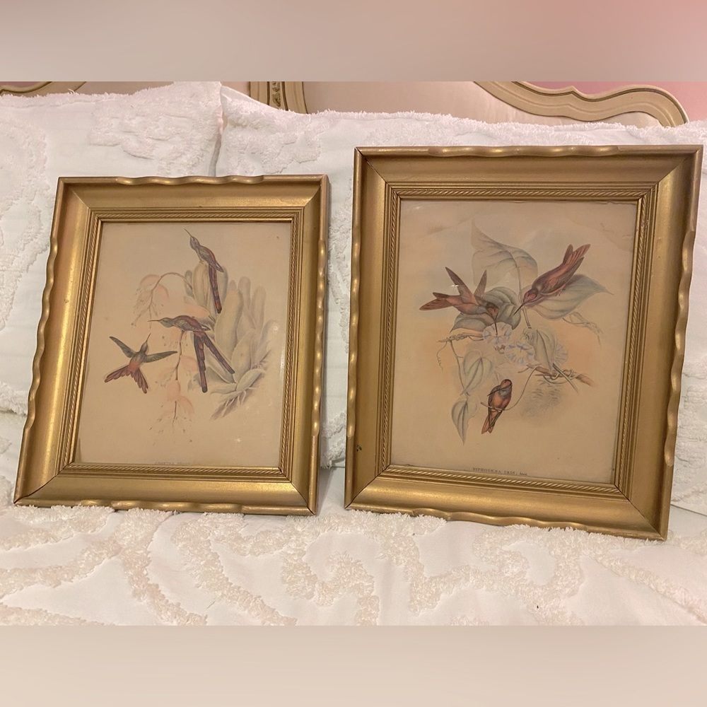 Vintage J. Gould pair of framed hummingbirds prints